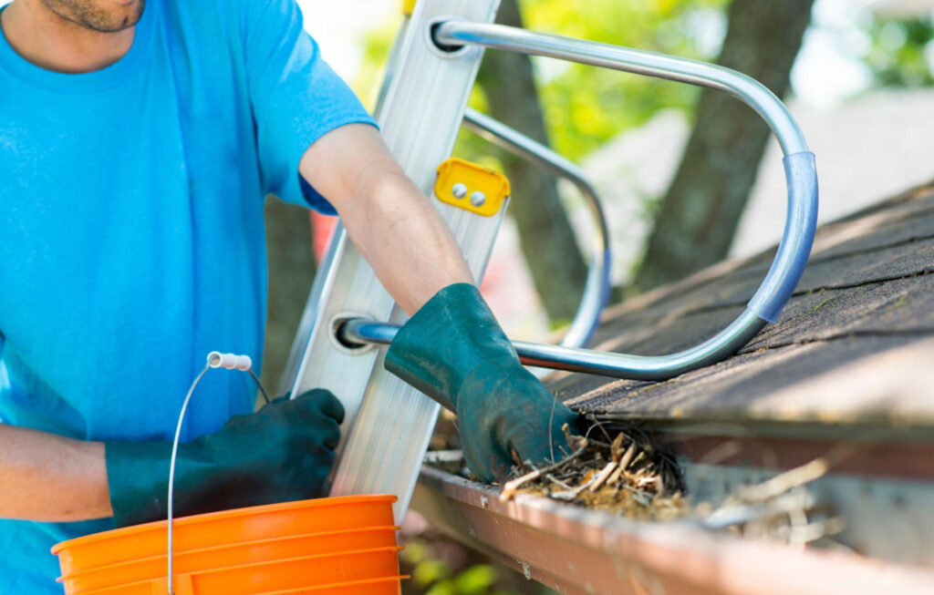 gutter cleaning services