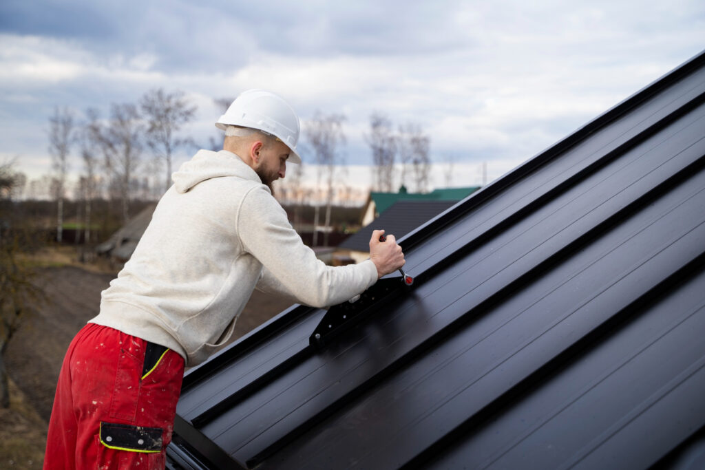 Roof Cleaning