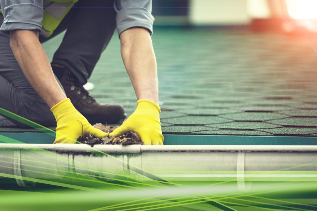 roof gutter cleaning