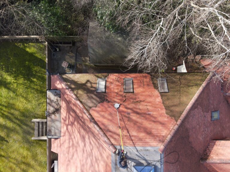 Roof Cleaning main